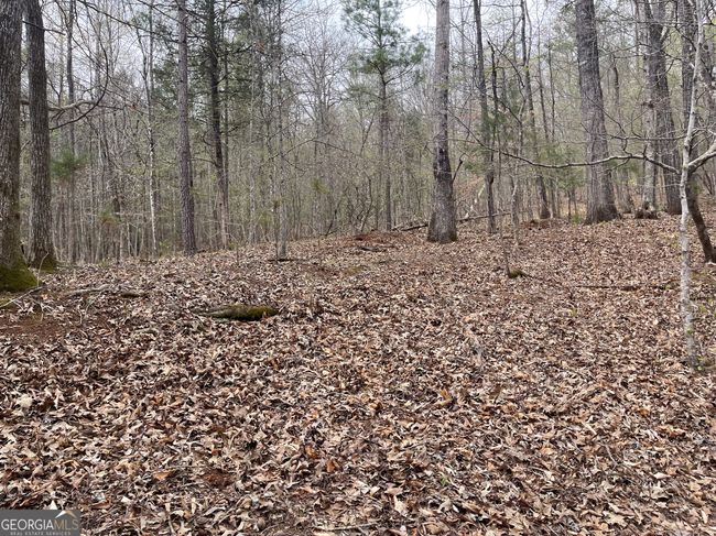 0 Green Oak Cir, Home with 0 bedrooms, 0 bathrooms and null parking in Thomaston GA | Image 28