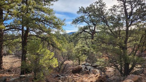 TBD L 7th Trail, Cotopaxi, CO, 81223 | Card Image