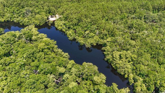 Aerial view of property and surrounding area with a large body of water | Image 30