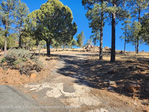 318 Mcbride Dr, Ruidoso, NM, 88345-5609 | Card Image