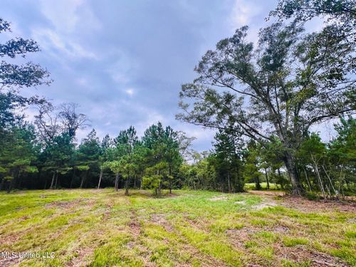  Egg Farm Road Extesnion, Poplarville, MS, 39470 | Card Image