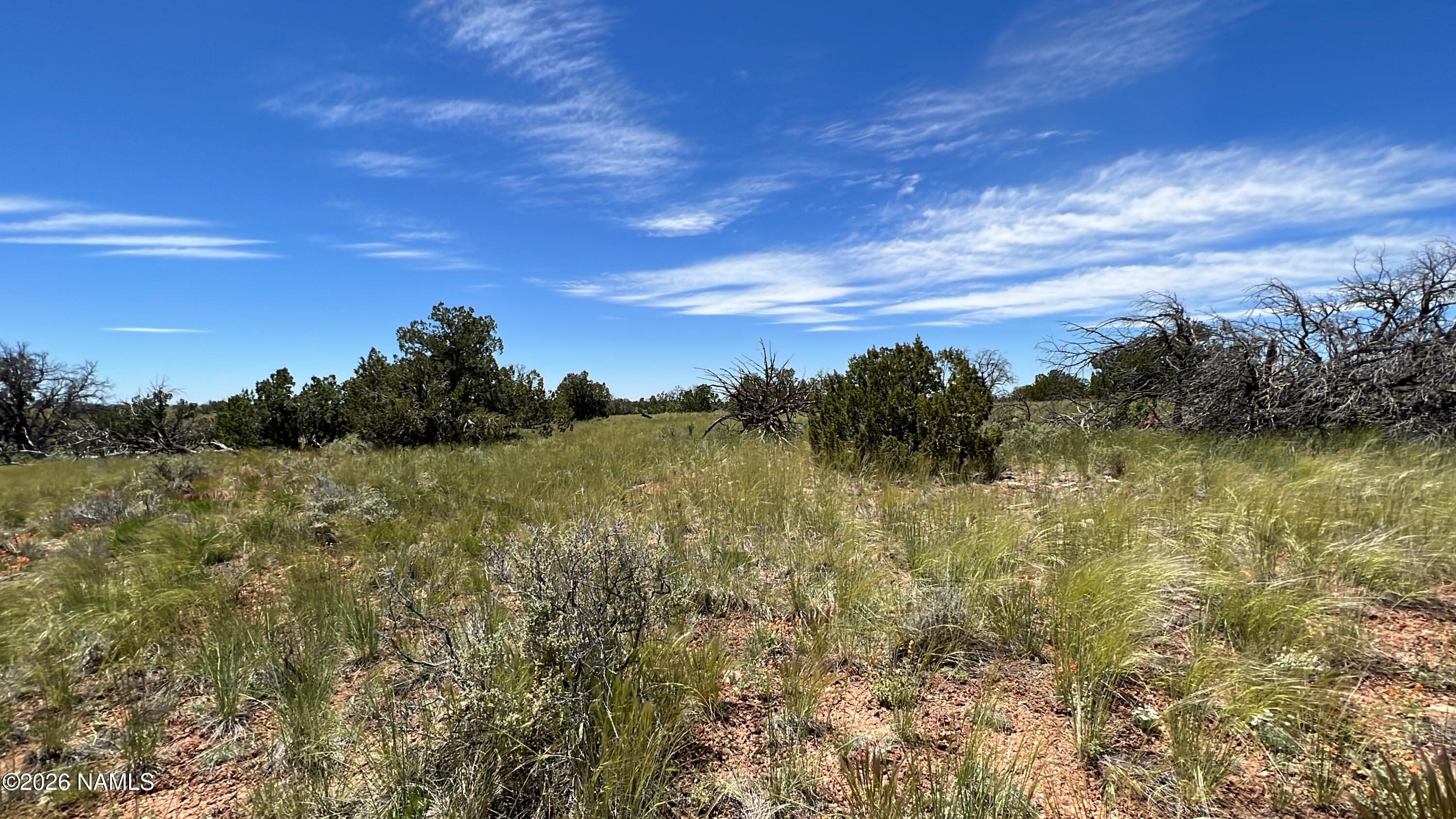 Land in Williams 4