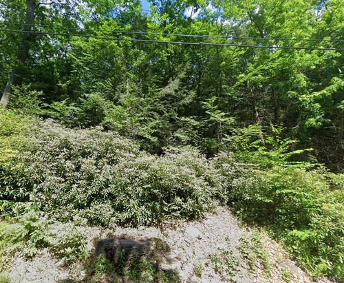 00 Taylor Rd Tr 111, Fallsburg, NY, 12733 | Card Image