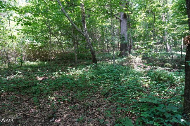 15 Raindrop Ln, Home with 0 bedrooms, 0 bathrooms and null parking in Jefferson City TN | Image 21
