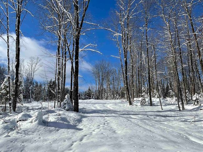 2209 Underpass Rd, Home with 0 bedrooms, 0 bathrooms and null parking in Sutton VT | Image 19