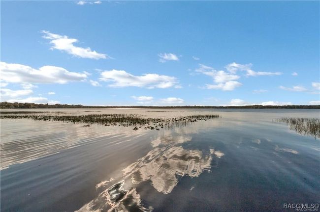 3184 N Edward Island Pt, House other with 2 bedrooms, 1 bathrooms and 1 parking in Hernando FL | Image 29
