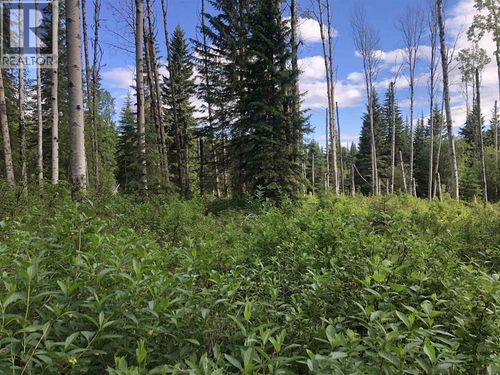 3078 Bradley Creek Rd, Forest Grove, BC, V0K1M0 | Card Image