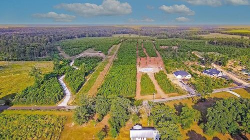 151047 C C Rd, Diboll, TX, 75941 | Card Image
