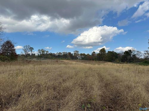 17.5 Acres Burwell Rd, Harvest, AL, 35749 | Card Image
