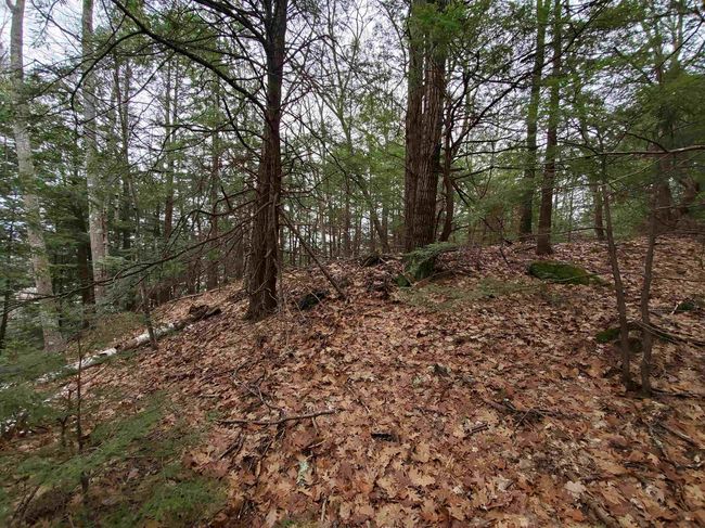00 Berry Farms Rd, Home with 0 bedrooms, 0 bathrooms and null parking in Bristol NH | Image 19