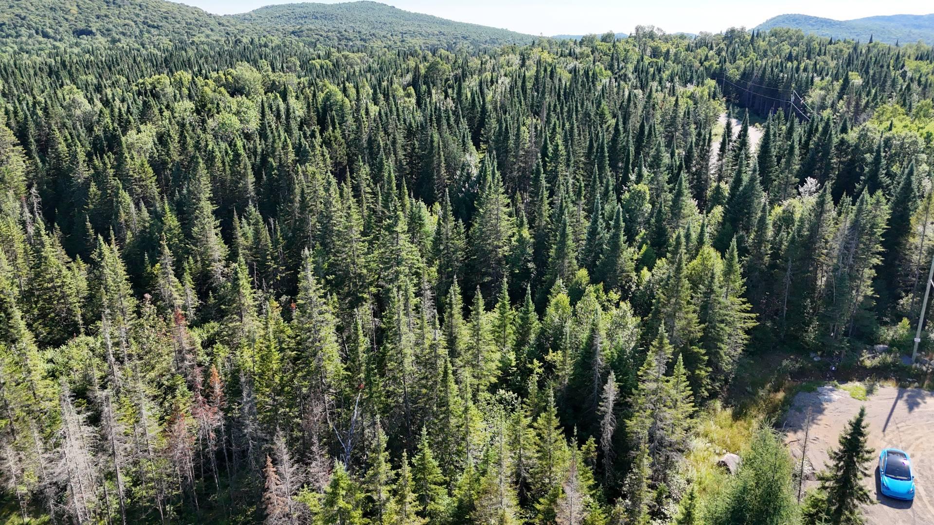 Land in Notre-Dame-de-la-Merci 5