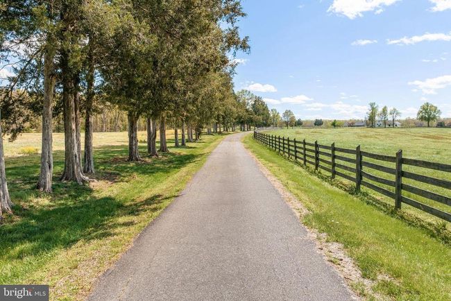 8371 Langhorne Rd, Home with 3 bedrooms, 3 bathrooms and null parking in Scottsville VA | Image 4