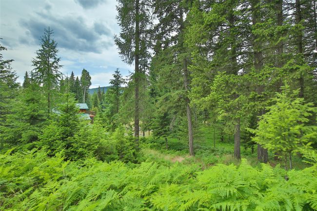 32 Whitepine Creek Rd, House other with 2 bedrooms, 2 bathrooms and null parking in Trout Creek MT | Image 40