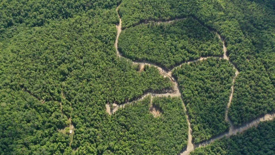 Land in Saint-Alexis-des-Monts 2