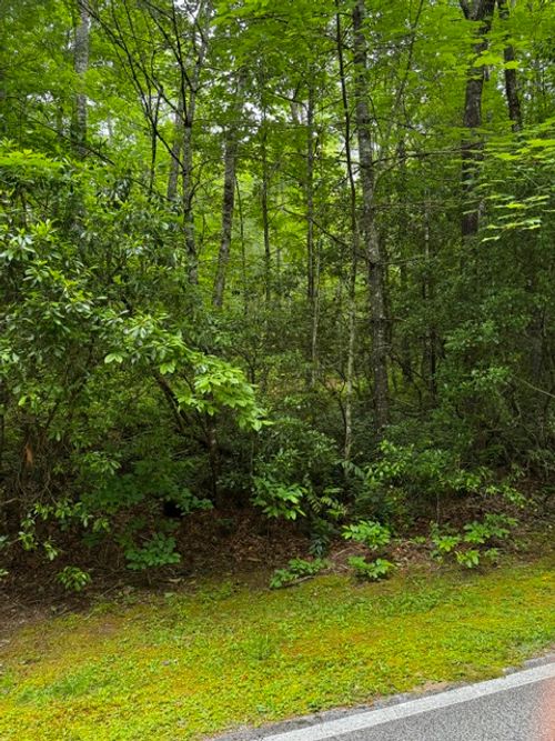 47B Big Pine Rd, Sapphire, NC, 28774-9579 | Card Image