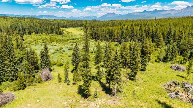 16445 N Fork Rd, Home with 0 bedrooms, 0 bathrooms and null parking in Polebridge MT | Image 6