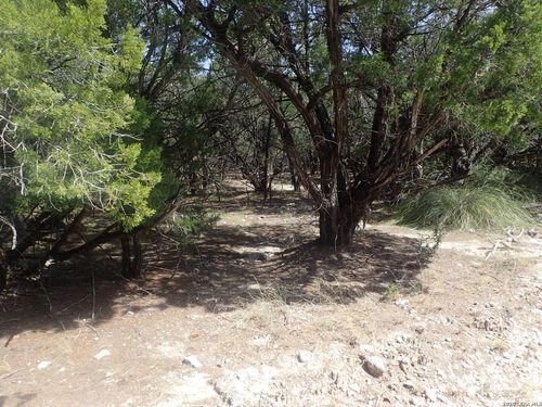 17 Mississippi Ave, Pipe Creek, TX, 78063 | Card Image