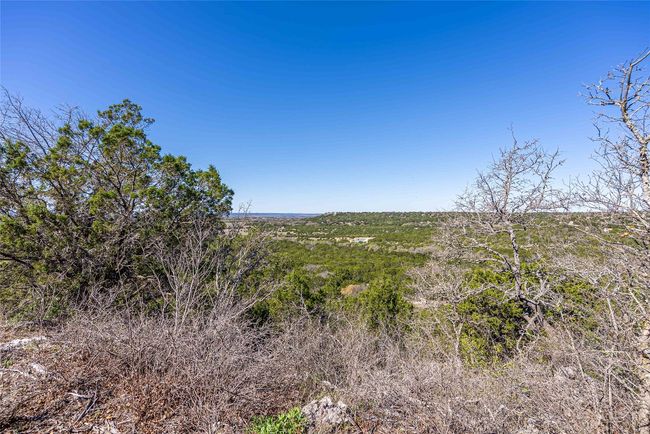 View of local wilderness | Image 4
