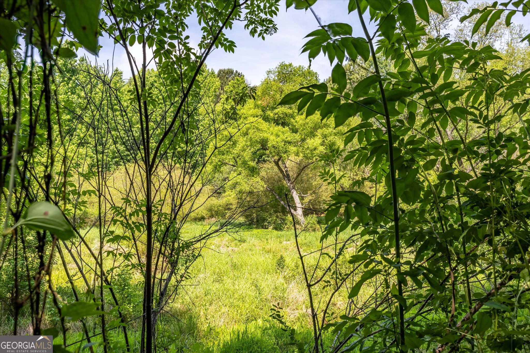 Land in Monroe 3