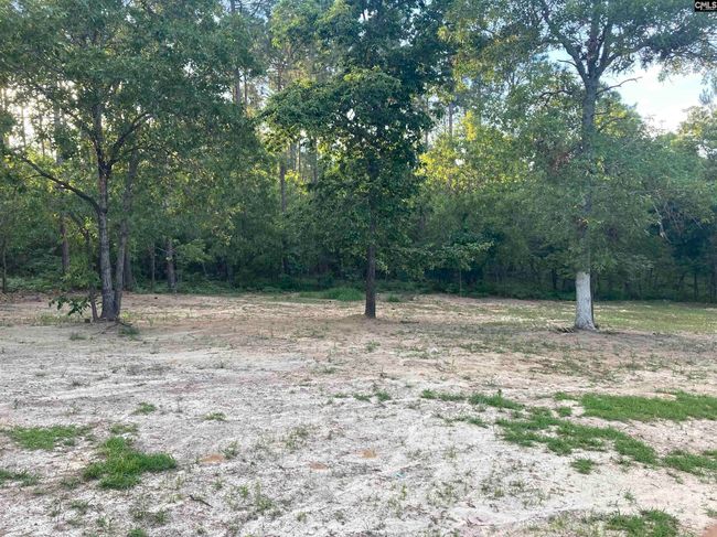 206 Par Ct, House other with 3 bedrooms, 2 bathrooms and null parking in Gaston SC | Image 22