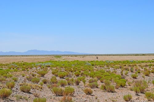 16e-Lot 105 Rancherita Rd, Los Lunas, NM, 87031 | Card Image
