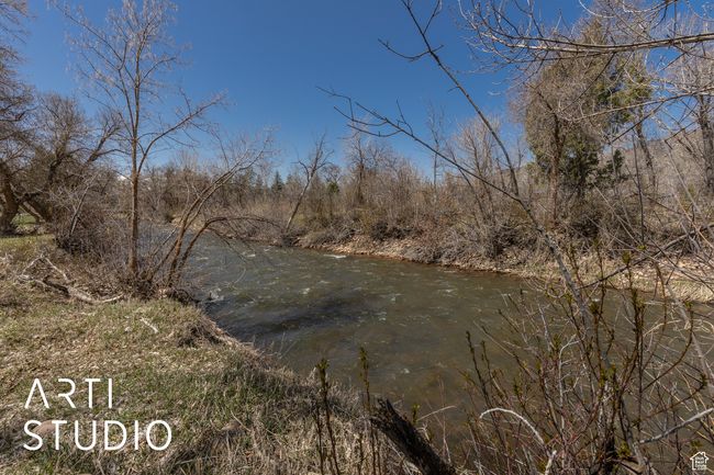 View of local wilderness | Image 54