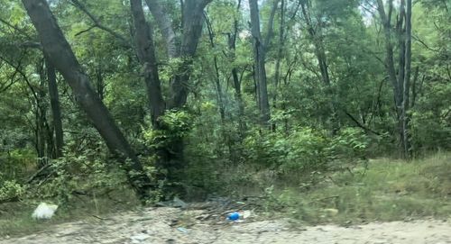 4205 Imperial Dr, Austin, TX, 78725-1357 | Card Image