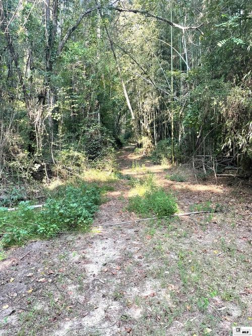 000 Evening Rd, Chatham, LA, 71226 | Card Image