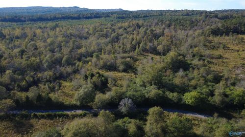 37 Acres-3124 County Road 6, Collinsville, AL, 35961-3010 | Card Image