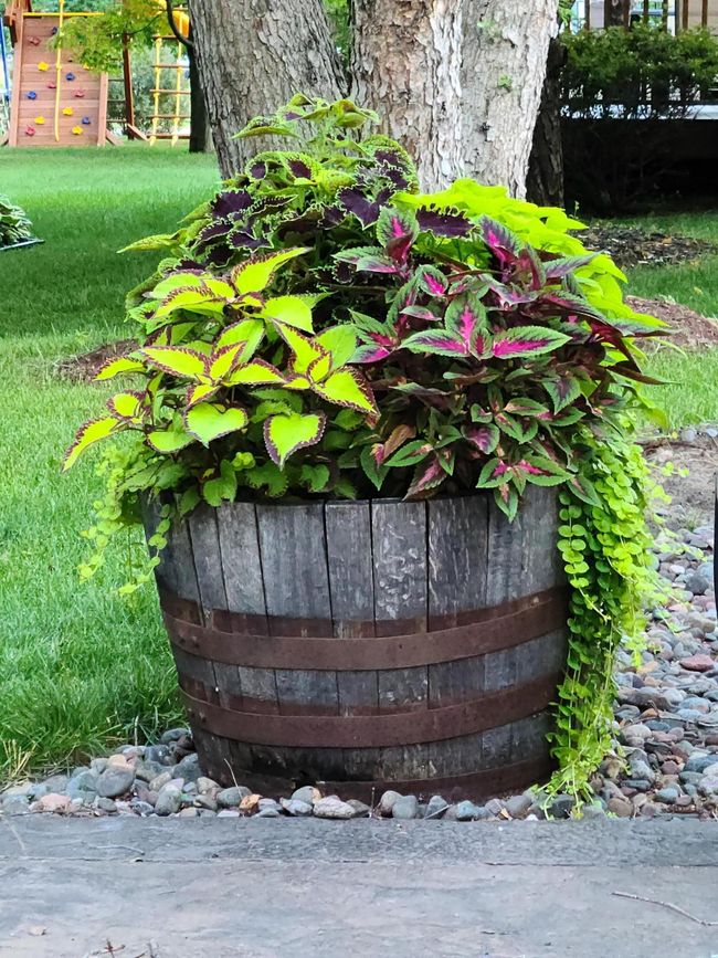 Seasonal decor! | Image 44