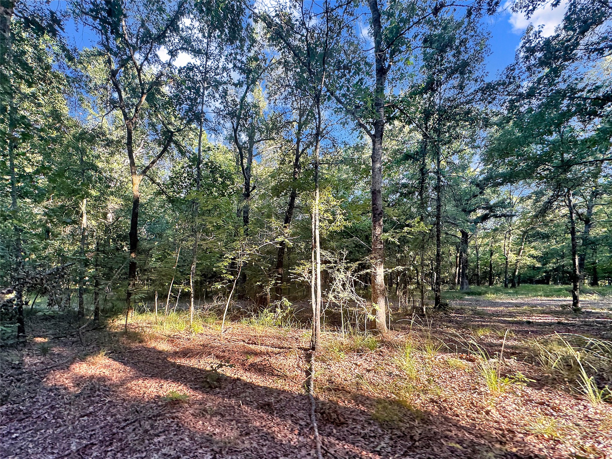 Land in Bogata 4