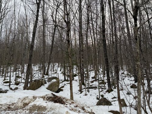Lot A Station Road, Hebron, ME, 04238 | Card Image