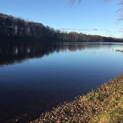 N11169 Rademaker Road, WAGNER, WI, 54177 | Card Image