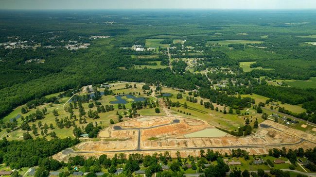 Huggins Hill_2 | Image 35