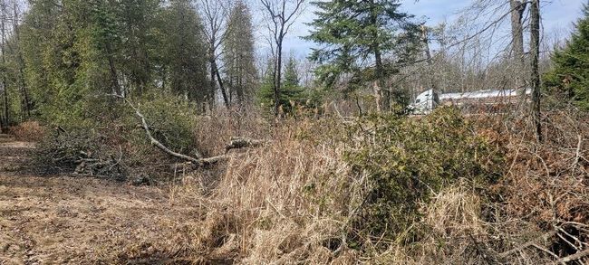 Lt0 E State Highway M35, Home with 0 bedrooms, 0 bathrooms and null parking in INGALLSTON MI | Image 9