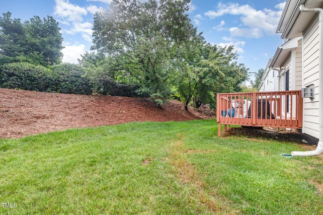 Backyard 3 | Image 33
