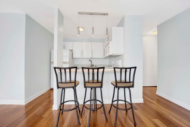 APT-5A - 33 E Cedar St, Condo with 1 bedrooms, 1 bathrooms and null parking in CHICAGO IL | Image 9