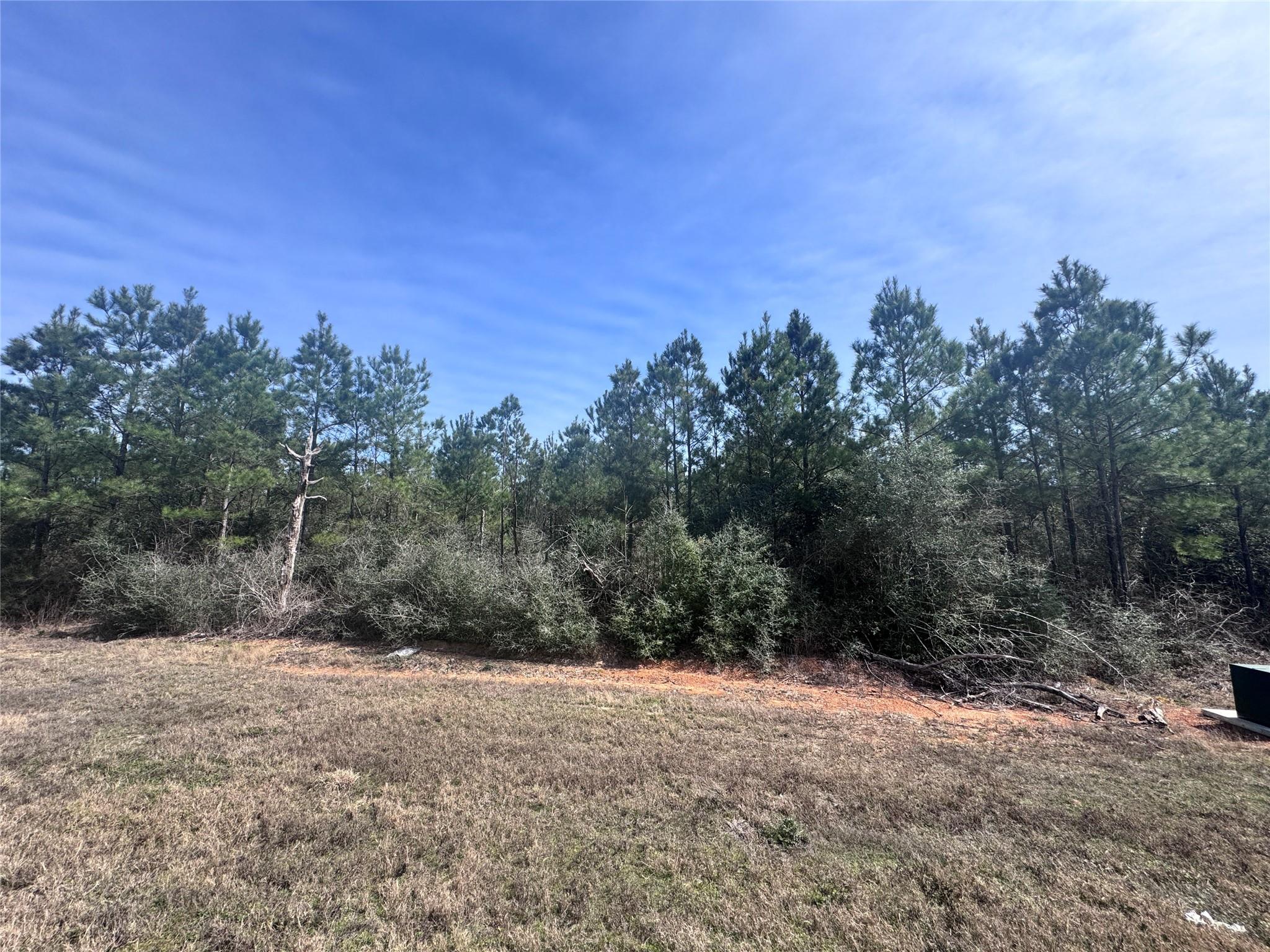 Land in Willis 3