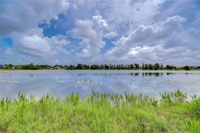 Tranquility at its finest! | Image 41