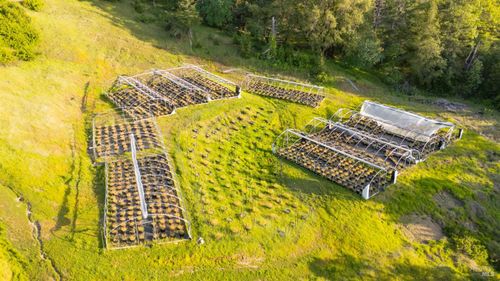 8000 Simmerly Rd, Laytonville, CA, 95454 | Card Image