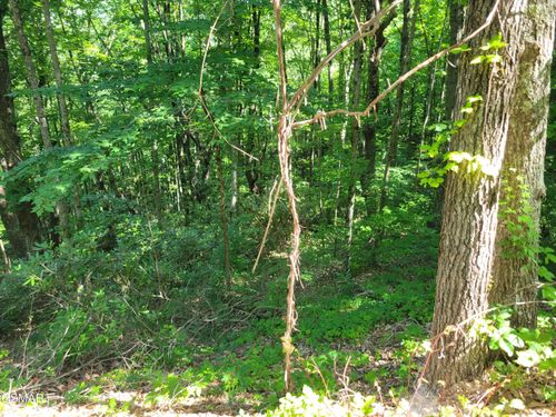 Lot 20 Sunset Drive, Sevierville, TN, 37876 | Card Image