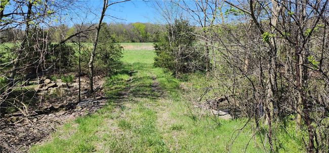 10535 N Highway 59, Home with 3 bedrooms, 1 bathrooms and null parking in Summers AR | Image 7