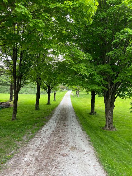 17 Coy Hill Rd, Middletown Springs, VT, 05757-4247 | Card Image