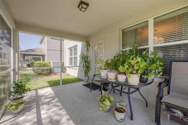 20215 Natures Spirit Dr, House other with 4 bedrooms, 3 bathrooms and null parking in TAMPA FL | Image 32