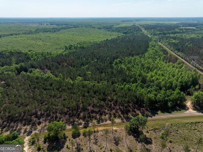 6053 Sun Hill Grange Rd, Home with 0 bedrooms, 0 bathrooms and null parking in Davisboro GA | Image 120