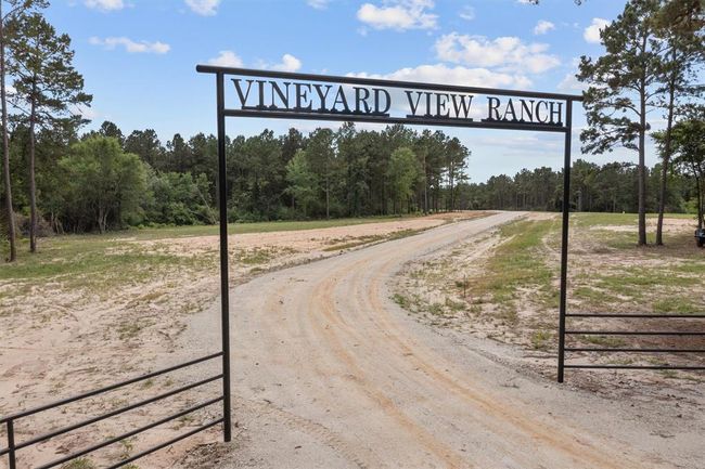 656 Vineyard View Trail, House other with 3 bedrooms, 3 bathrooms and null parking in Grapeland TX | Image 29