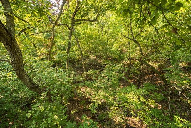 1184 Highway 3, Home with 0 bedrooms, 0 bathrooms and null parking in Uniontown KS | Image 62