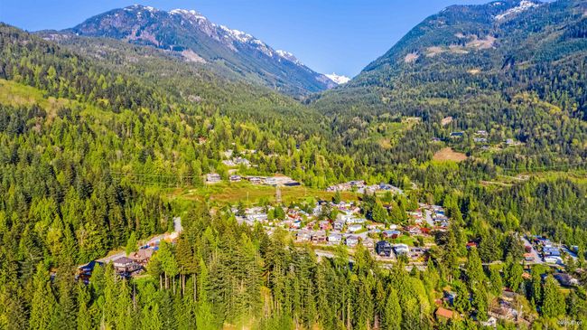 Drone / aerial view of a forest and mountains | Image 18
