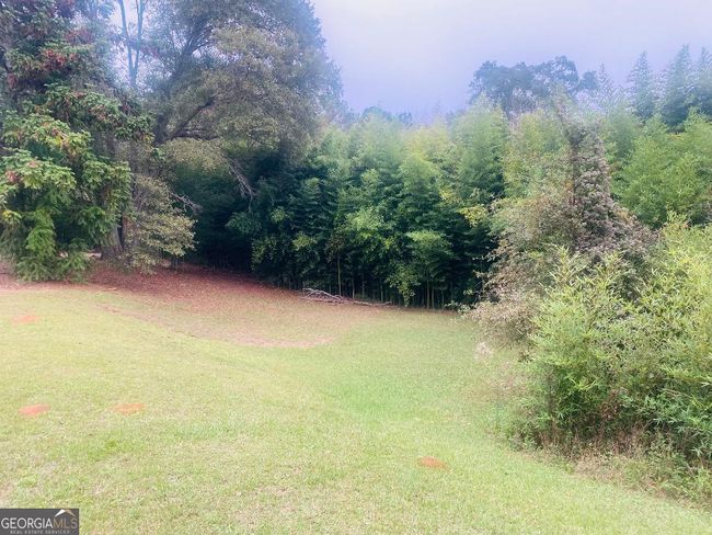 614 Alston St, Home with 0 bedrooms, 0 bathrooms and 30 parking in Richland GA | Image 8