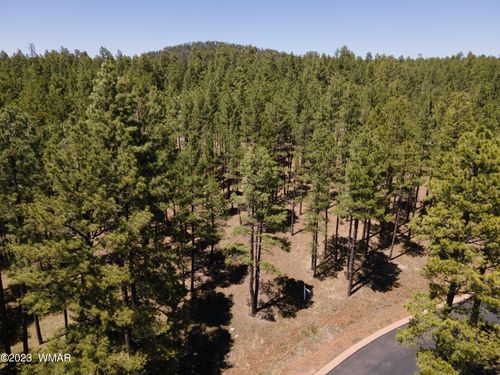 9586 Sierra Springs Way, Pinetop, AZ, 85935-8980 | Card Image